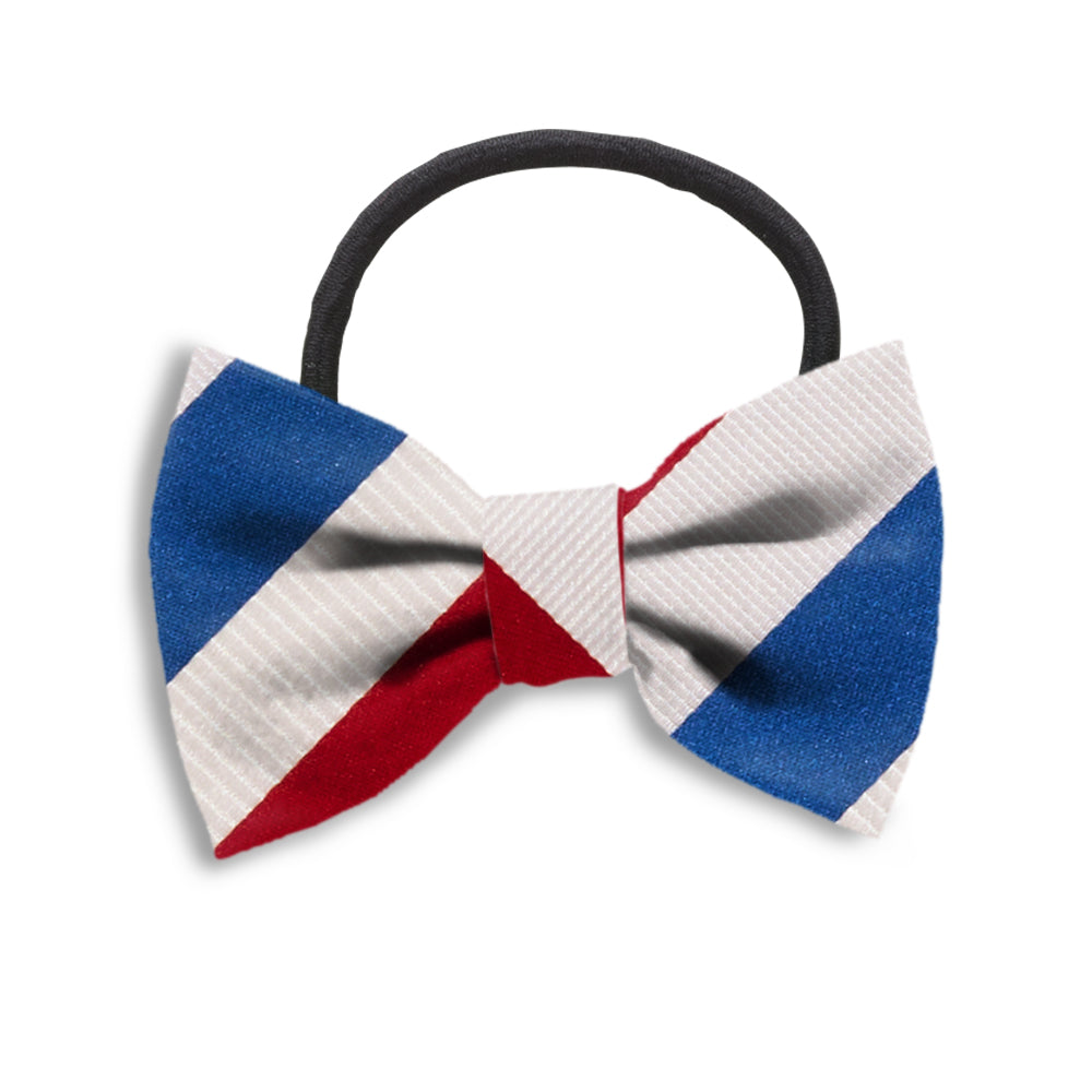 Potomac River Hair Bows